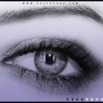 Eye Photoshop Brushes